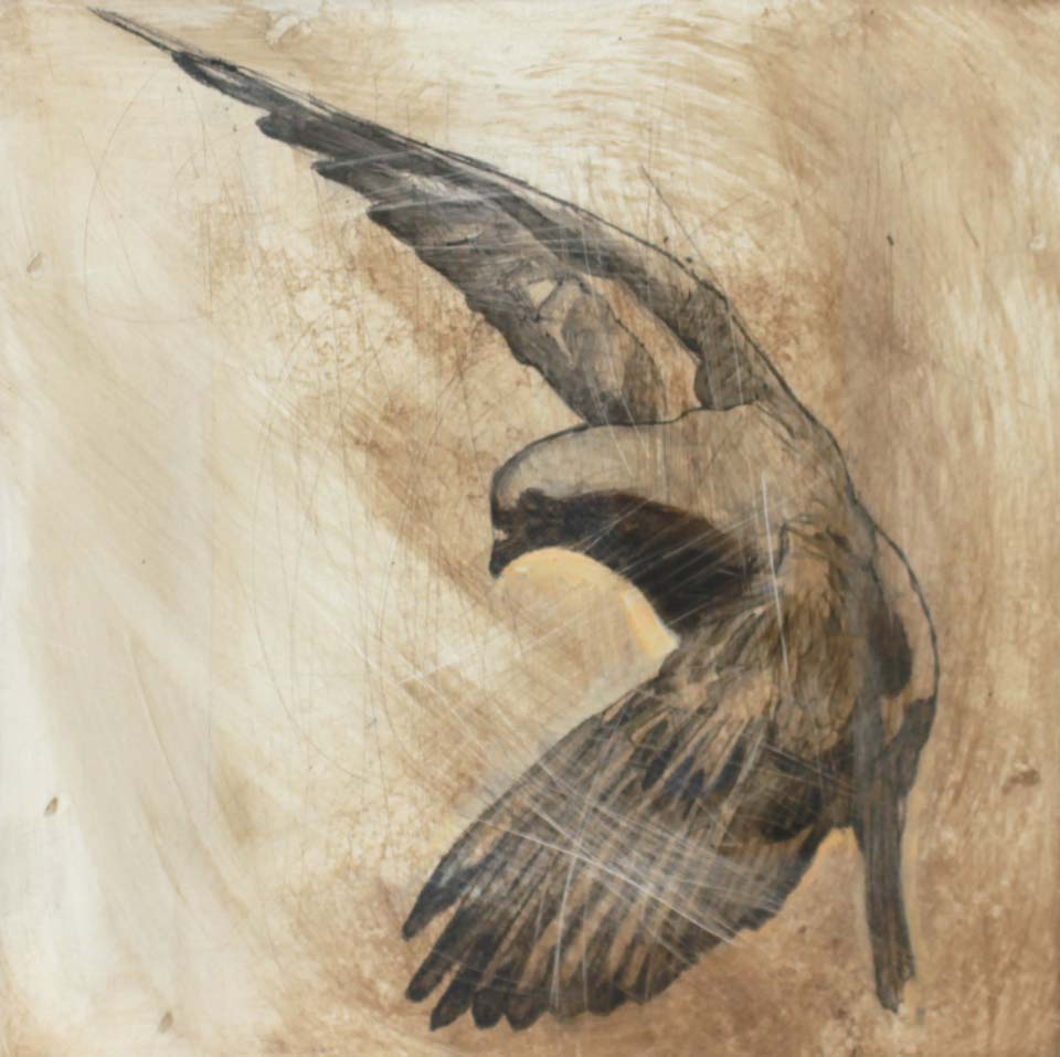 ditaranto auspici chimere